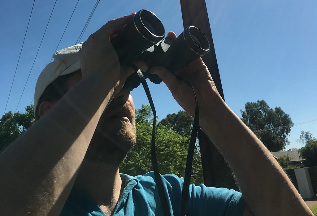 Birding with binoculars